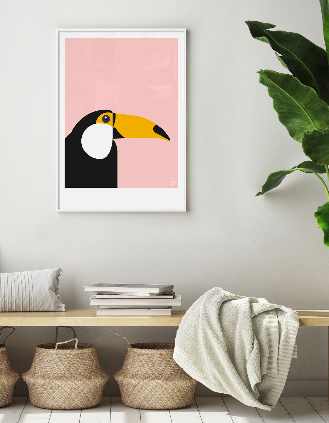 Toucan
