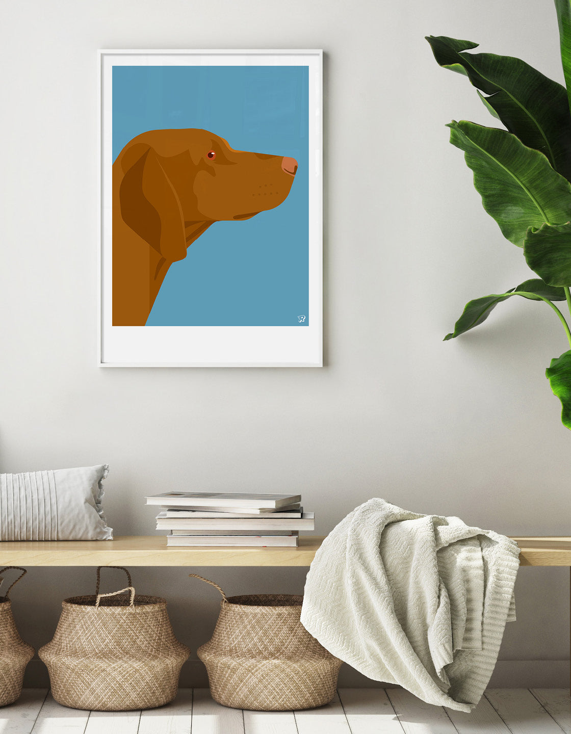 Vizsla