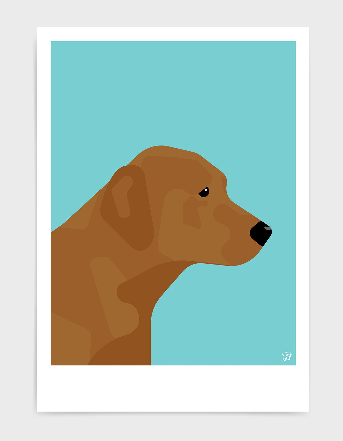 Fox red labrador