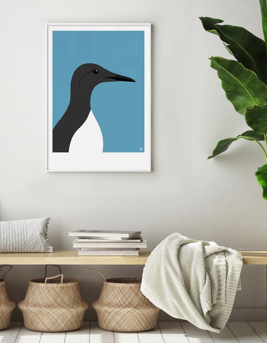 Guillemot