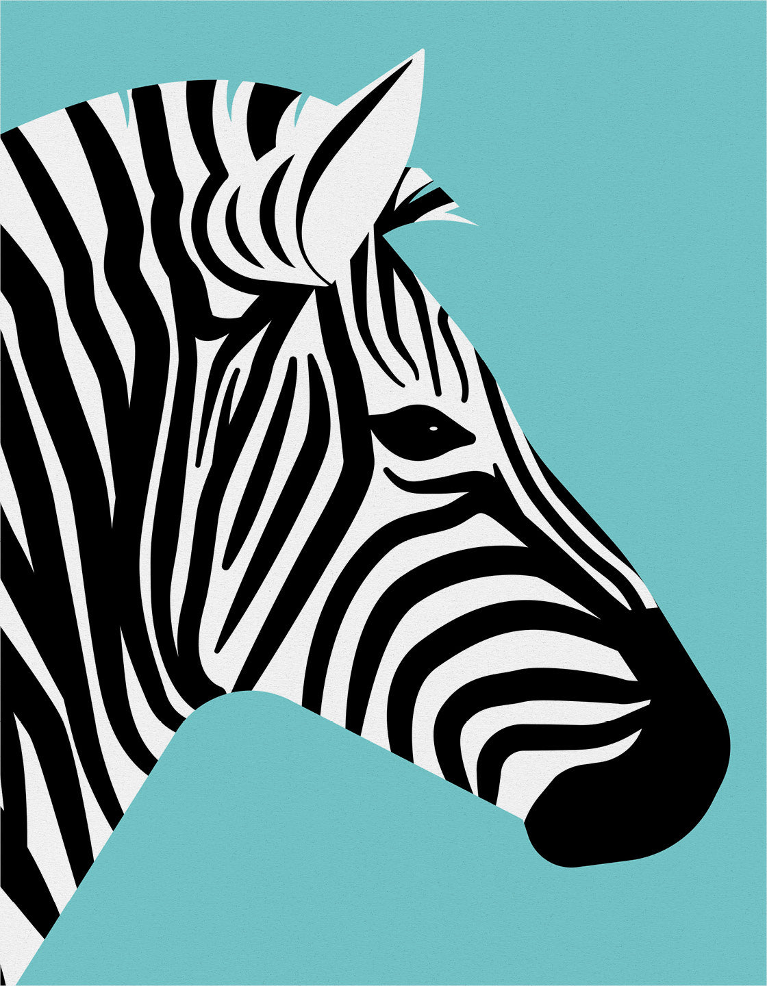 Zebra