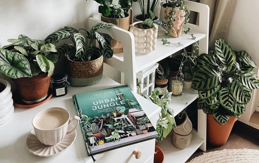 Our Top 10 plant loving Instagram accounts for interiors inspiration