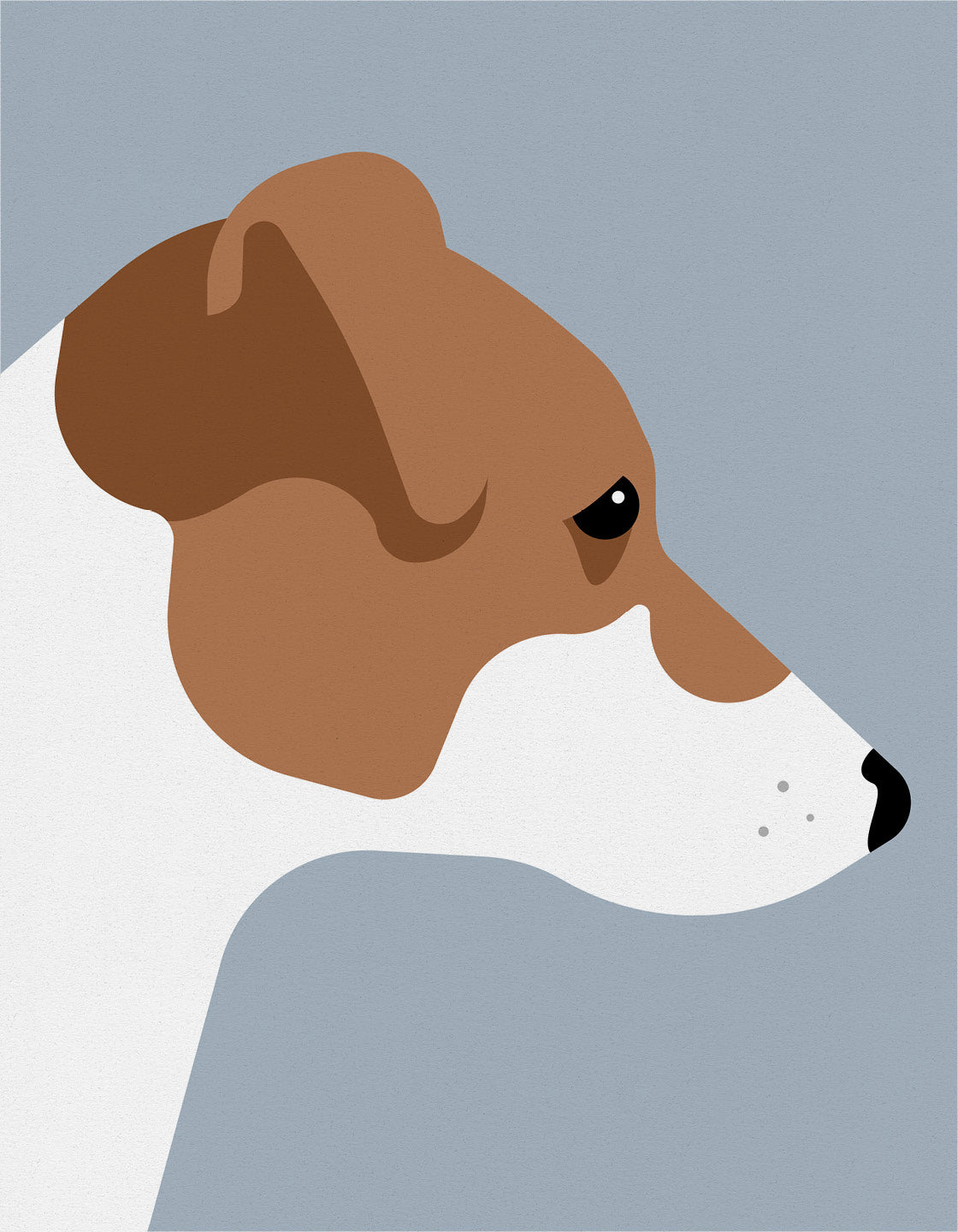 Jack russell terrier