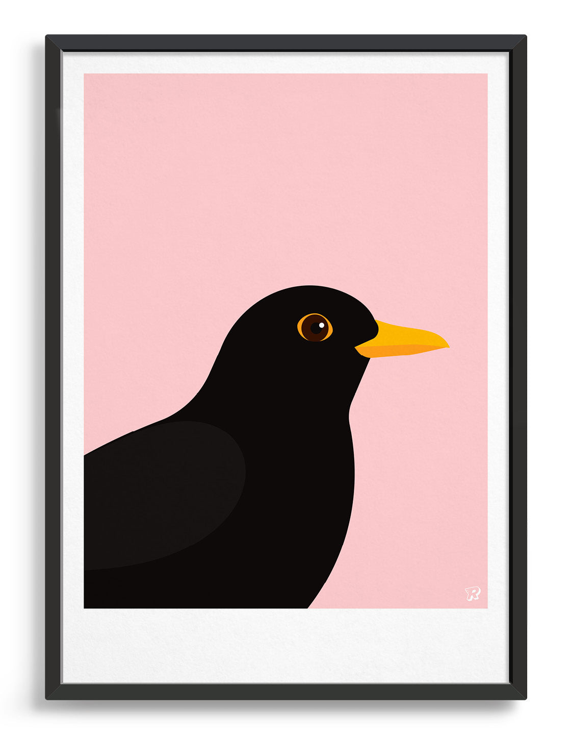modern Blackbird illustration against a pink background