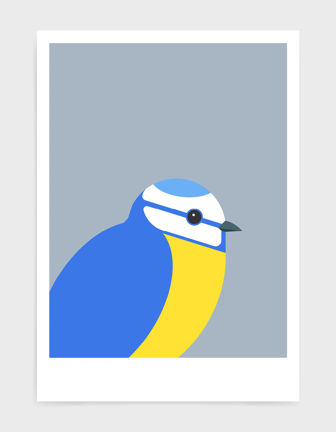 illustration of a blue tit bird against a grey background