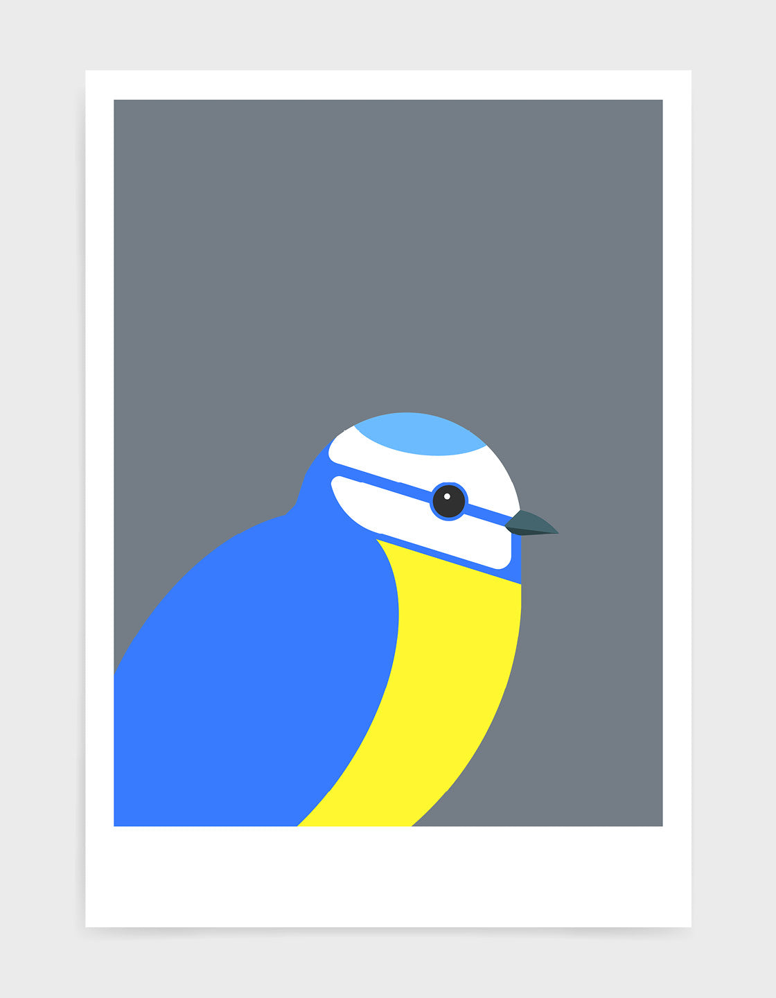 modern illustration of a blue tit bird against a dark grey background