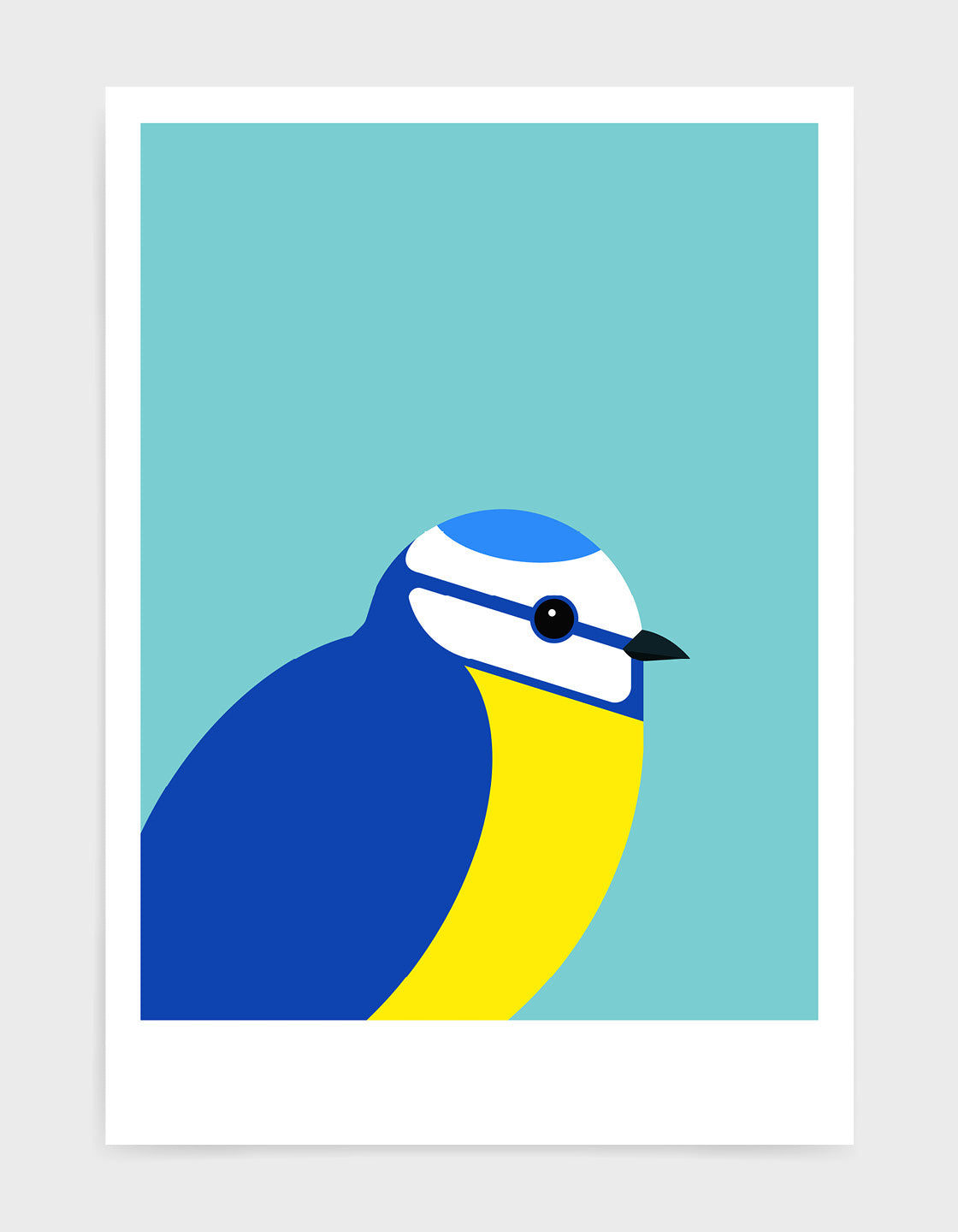modern illustration of a blue tit bird against a aqua blue background