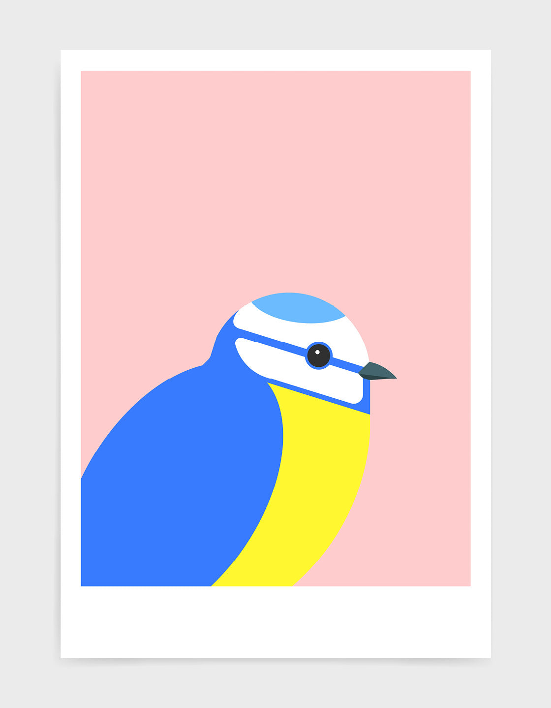modern illustration of a blue tit bird against a pink background