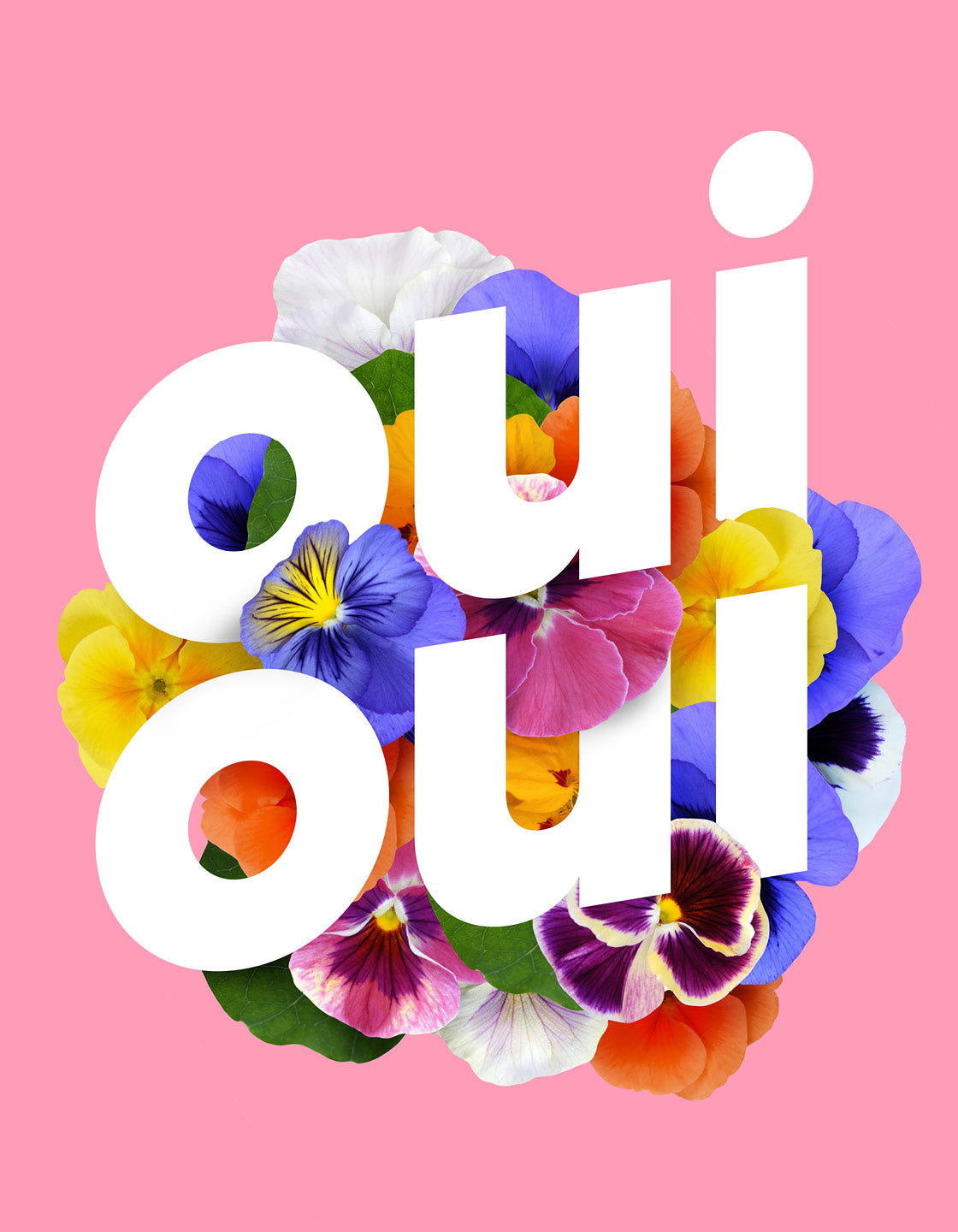 Oui Oui typography with pink background and flowers
