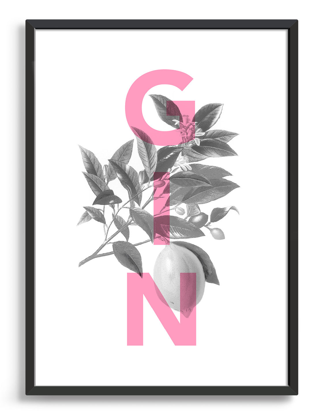 Gin typography print with monochrome botanical archive drawing and pink GIN wording