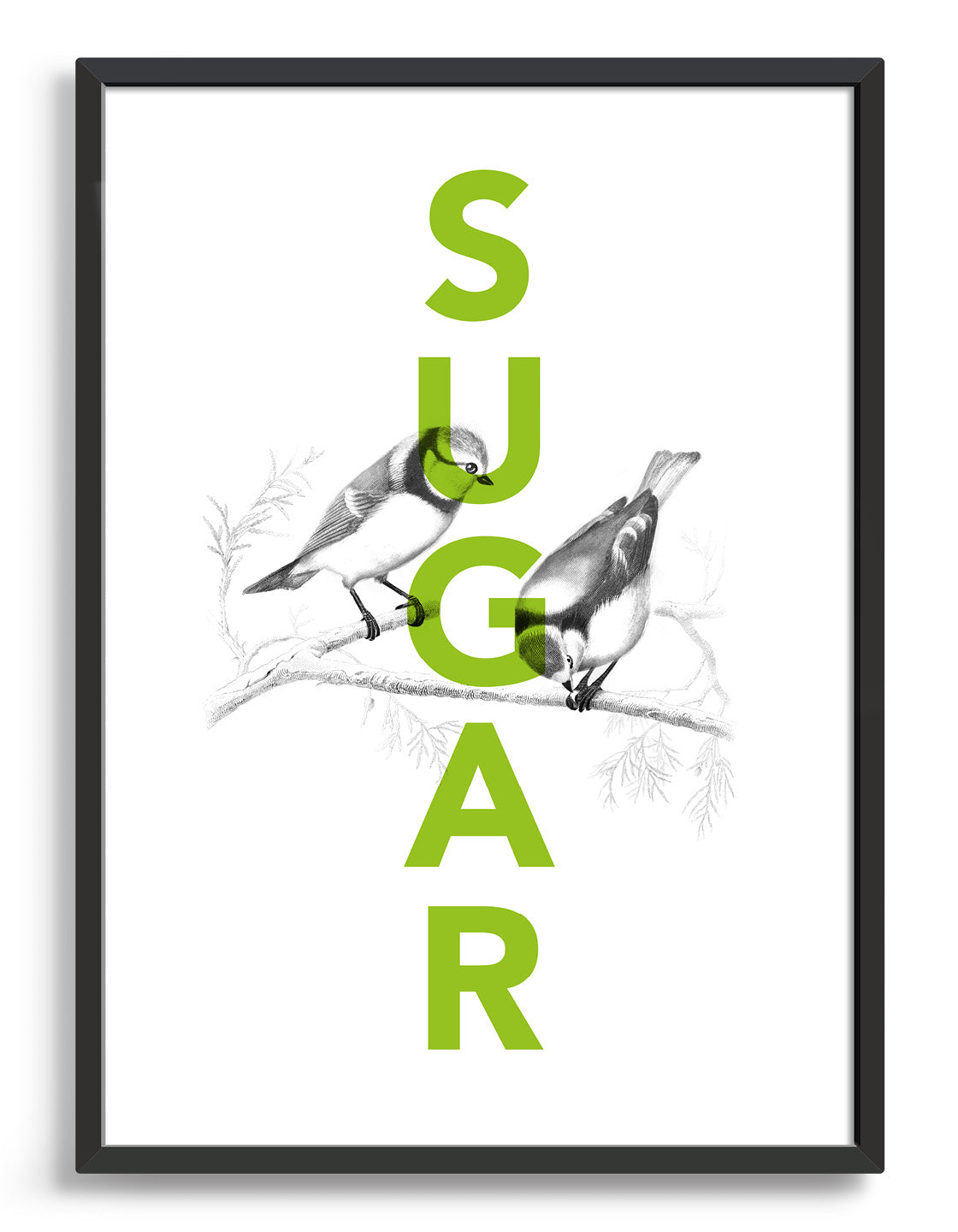sugar tits typography print with green sugar text overlaid black line drawing of some blue tits